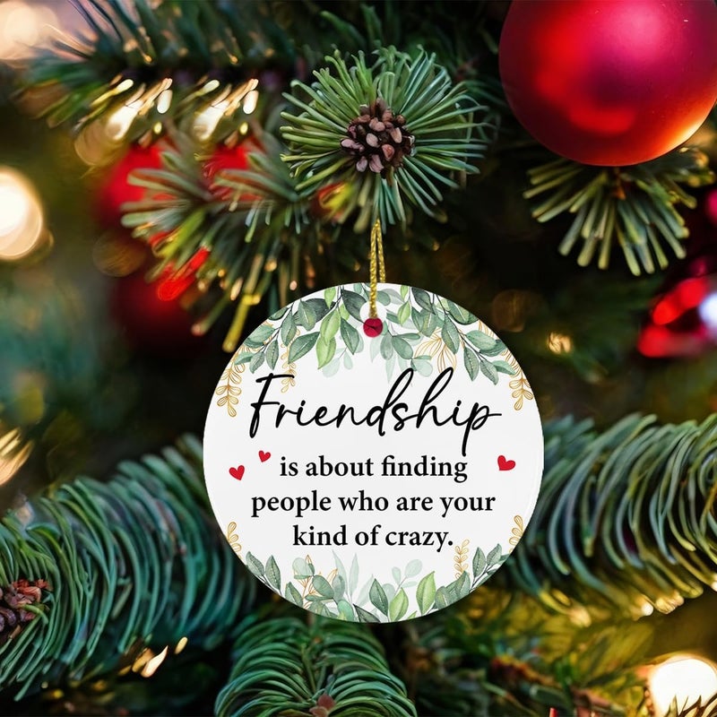 ZOSAN Funny Friendship Ceramic Ornament, Unique Gifts for Friends, Friendship Gifts for Women Friend BFF Bestie Soul Sister, Friends Christmas Ornament - Image 5